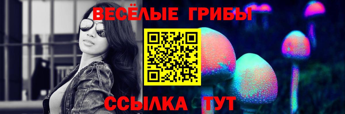 Слободской  Псилоцибиновые грибы Psilocybine cubensis  Вход с VPN 